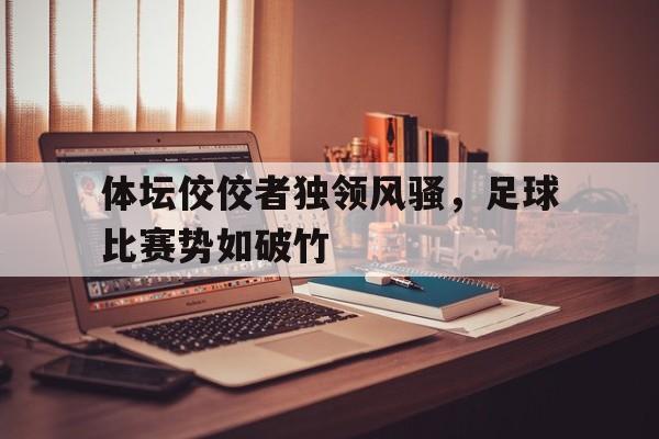体坛佼佼者独领风骚，足球比赛势如破竹的简单介绍