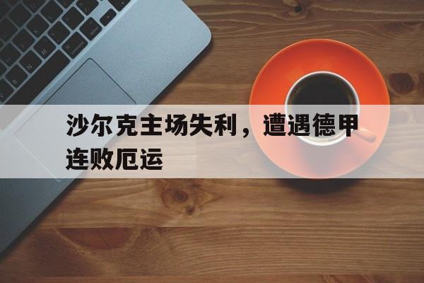 沙尔克主场失利，遭遇德甲连败厄运的简单介绍